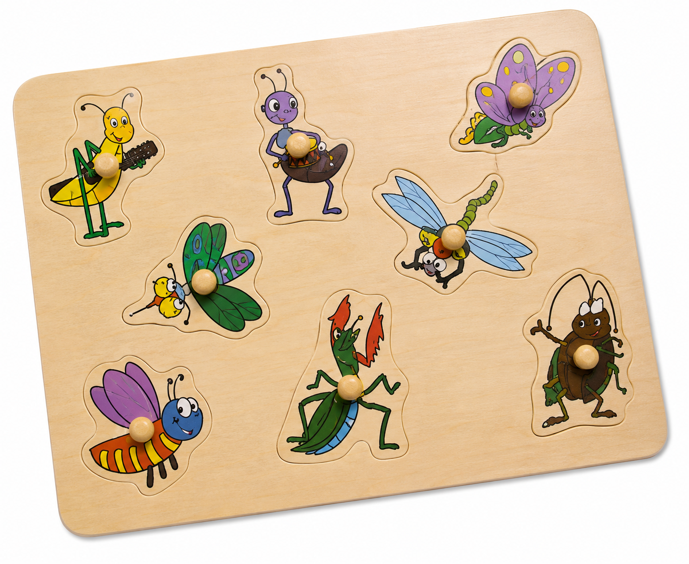insect puzzle