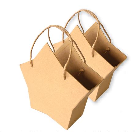 starbags2