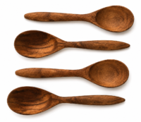 woodenspoonsmini2