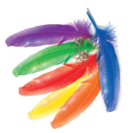 Goose Feathers 100 pack