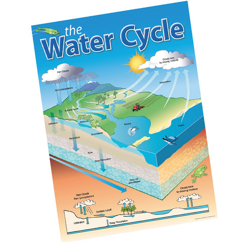 The Water Cycle
