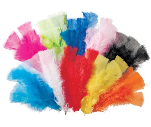 Feathers 60grams Assorted