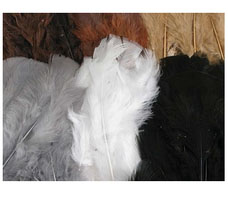 Feathers 60g Animal Colours