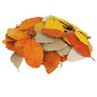 Discovery Natural Leaves 90 pack