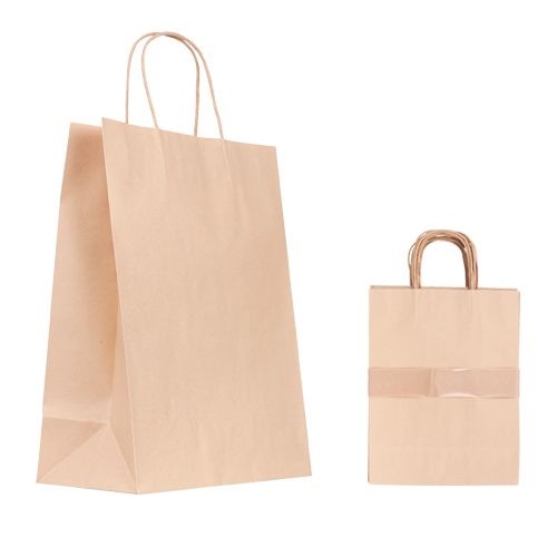 Paper Bag with Handle 10pack Medium