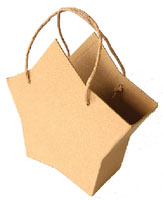 Paper Mache Star Bag
