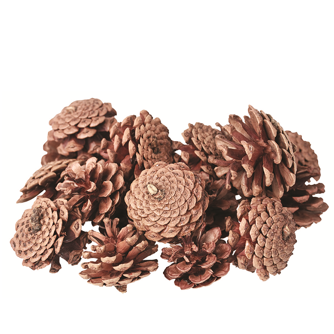 Pine Cones 200g