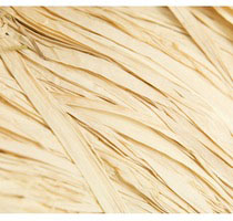 Raffia Natural 1kg hank