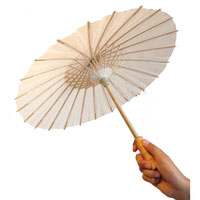 Paper Umbrella