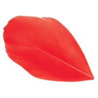 feather2