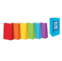 PAPER BAGS COL100PK