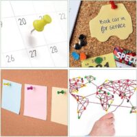 chart pins coloured3